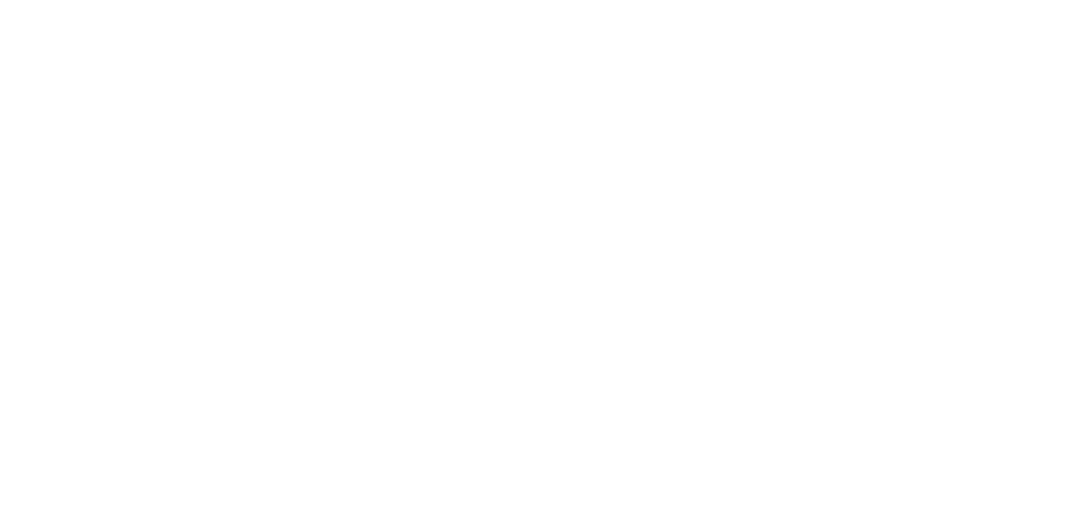 Blackbird Electric